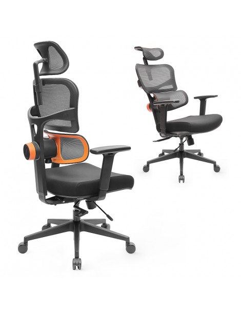 NEWTRAL Sedia Standard NT001 Sedia ergonomica adattiva con supporto per la parte bassa della schiena Qualità
