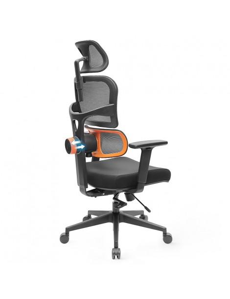 NEWTRAL Sedia Standard NT001 Sedia ergonomica adattiva con supporto per la parte bassa della schiena Qualità