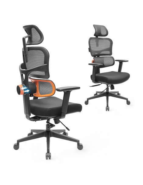 NEWTRAL Sedia Standard NT001 Sedia ergonomica adattiva con supporto per la parte bassa della schiena Qualità