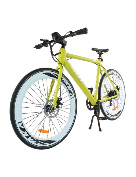 AVAKA R1 Bicicletta elettrica 250W Motore Batteria 9Ah- Verde Italia
