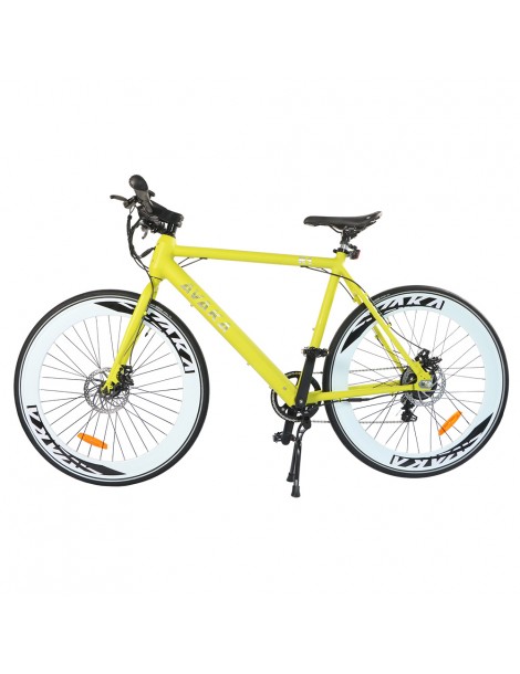 AVAKA R1 Bicicletta elettrica 250W Motore Batteria 9Ah- Verde Italia