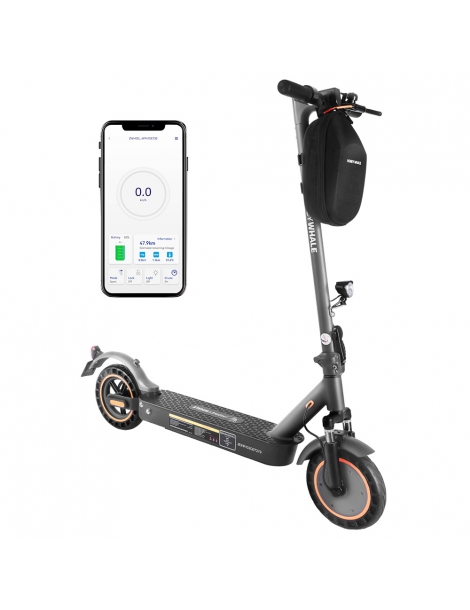 HONEYWHALE E9 MAX con omologazione stradale (ABE) scooter elettrico pieghevole con motore da 500W batteria da 36V 10Ah Novità
