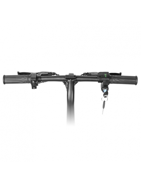 LAIFOOK Dolphin Bici Elettrica Pieghevole Motore 250W Batteria 36V 7.8AH Pneumatico 14 pollici - Nero In Vendita