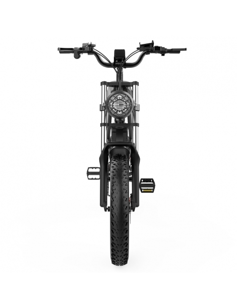 Ridstar Q20 Electric Bike 1000W Brushless Motor 20*4 Inch Fat Tires 48V 20Ah Removable Battery 30mph Max Speed Fornitura limitata