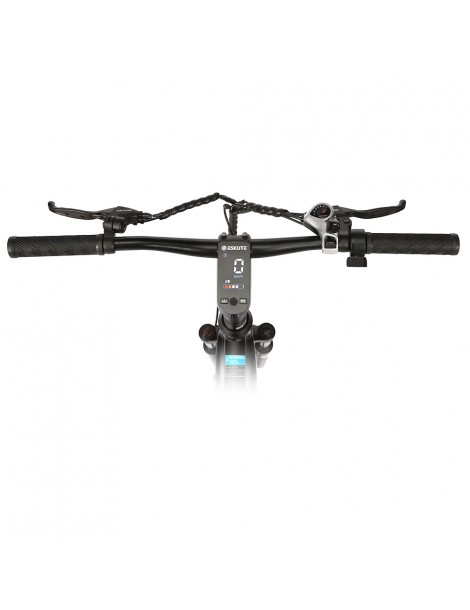 ESKUTE Netuno Bicicletta elettrica urbana 250W Bafang Motore a mozzo posteriore 36V 14.5Ah Batteria 65 miglia di autonomia Offerta esclusiva