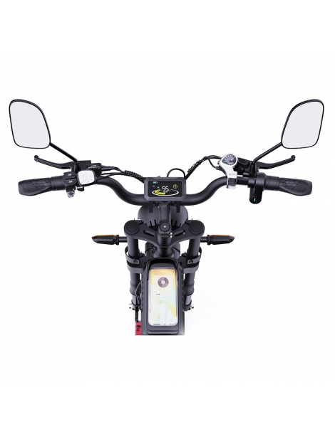 Ridstar Q20 Pro Off-road bicicletta elettrica doppia 1000W motore 52V 20AH doppia batteria Black Friday