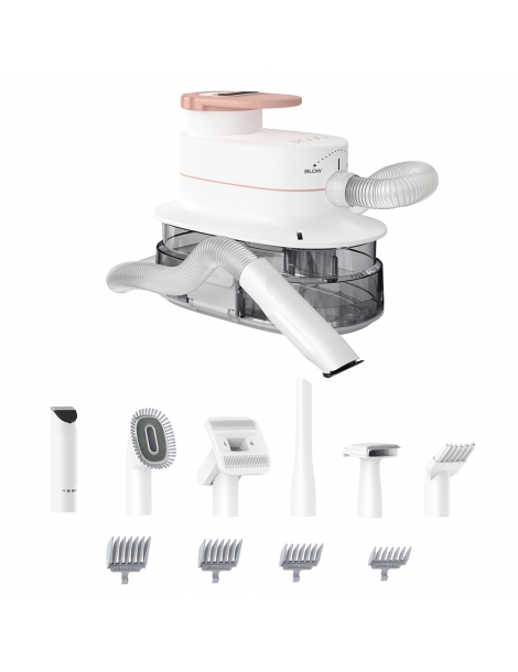 JIGOO P300 Kit aspirapolvere per animali domestici 11 in 1 3 modalità di velocità contenitore per la polvere da 4 litri In Linea
