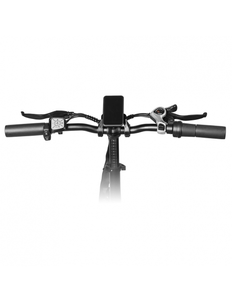 LAIFOOK Cityfun S Bicicletta elettrica pieghevole motore 250W batteria da 48V 10.4AH pneumatici grassi da 20 x 4.0" - Nero Black Friday