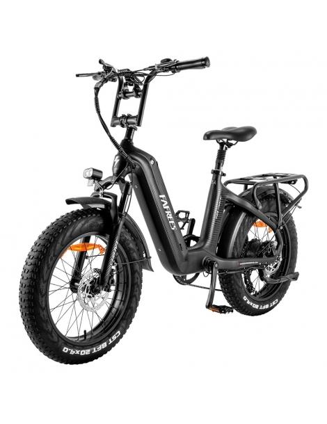 FAFREES F20 Master E-bike 20*4.0 pollici pneumatico 500W trazione posteriore 25km/h velocità massima-Nero Offerta per la Festa della Mamma
