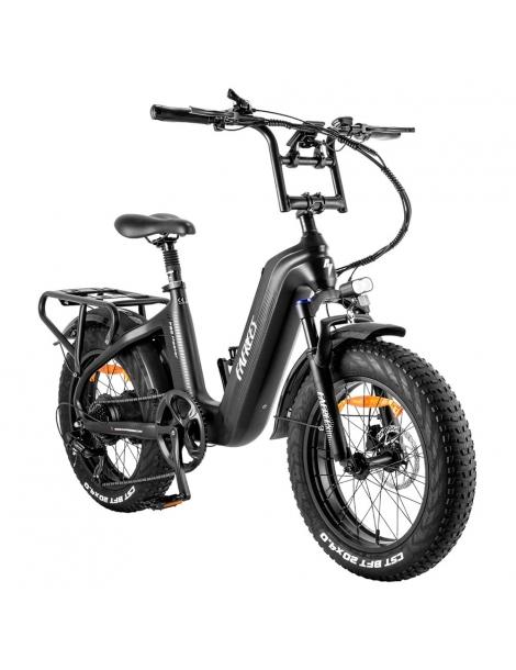 FAFREES F20 Master E-bike 20*4.0 pollici pneumatico 500W trazione posteriore 25km/h velocità massima-Nero Offerta per la Festa della Mamma