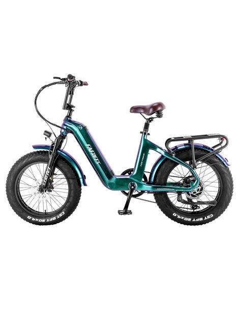 FAFREES F20 Master E-bike 20*4.0 pollici pneumatico 500W trazione posteriore 25km/h velocità massima-Verde Offerta Giorno del Papà
