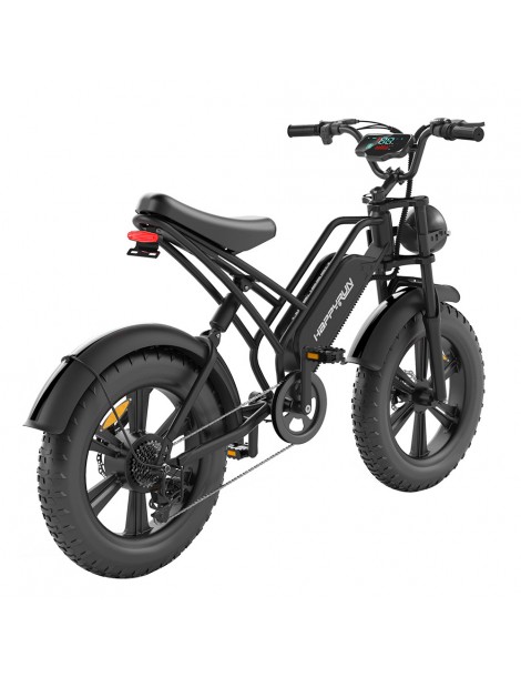 HAPPYRUN HR-G50 Bicicletta elettrica retrò 18Ah Batteria 750W Motore Offerta migliore