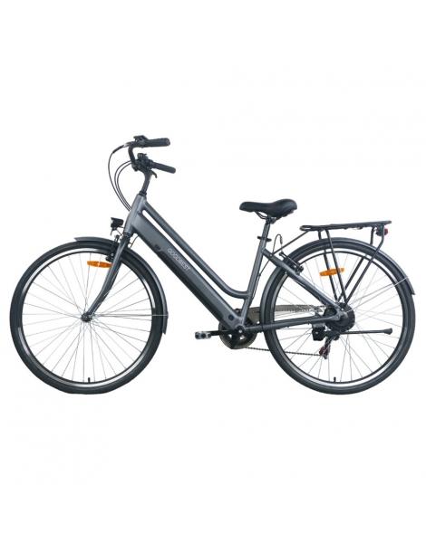 GOGOBEST GM28 Bicicletta elettrica 36V 350W Motore Batteria 10.4Ah-Grigio Promozione Limitata