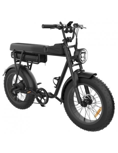 YAMALI FXH-006 Bicicletta elettrica Motore 1000W Batteria 48V 20Ah Pneumatici grassi 20*4'' Velocità massima 50km/h - Nero Vendite Flash