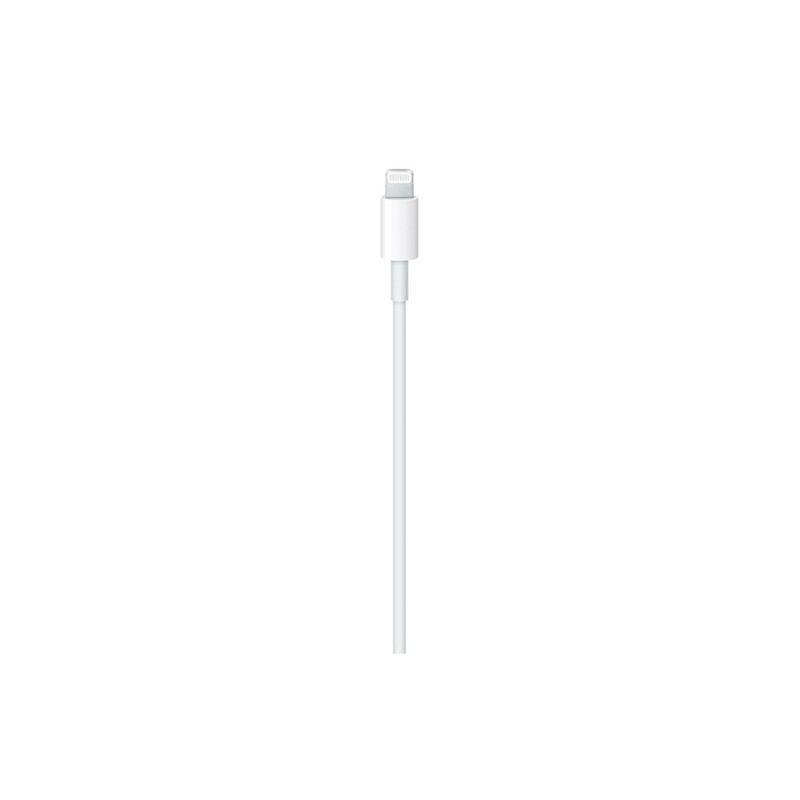 APPLE Cavo Apple Lightning a USB-C Offerte giornaliere