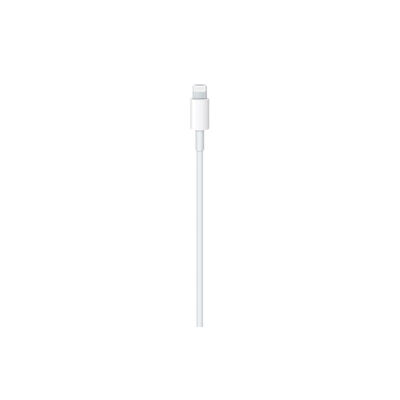 APPLE CAVO APPLE LIGHTNING USB-C Discount Store per i nuovi prodotti