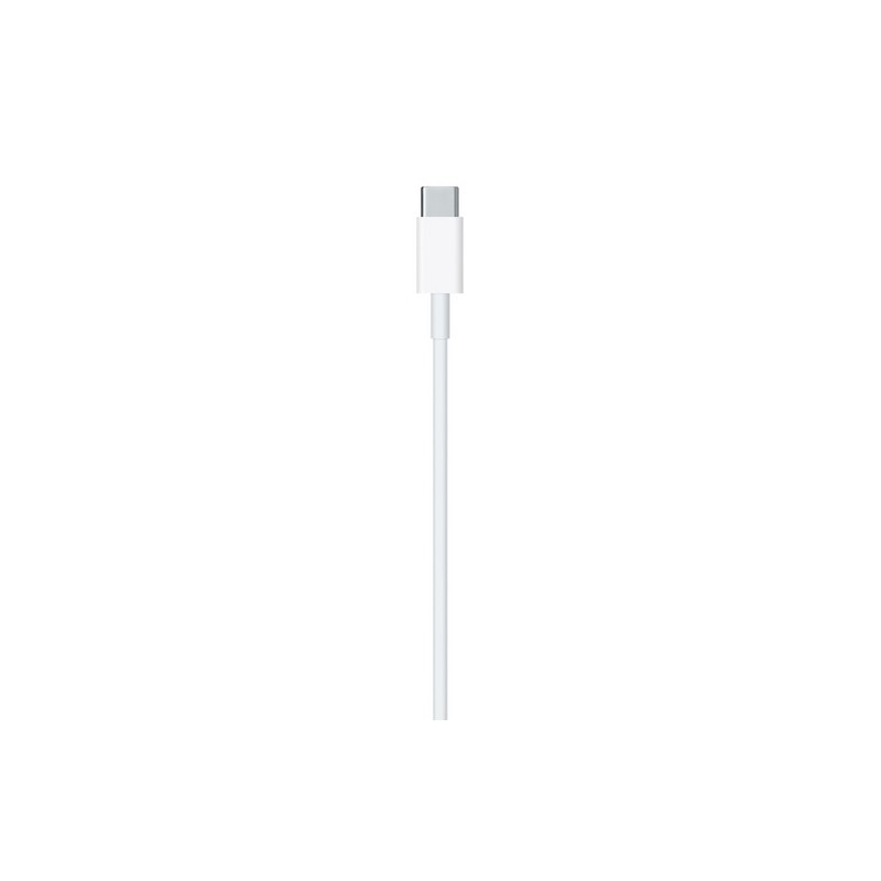 APPLE CAVO APPLE LIGHTNING USB-C Discount Store per i nuovi prodotti