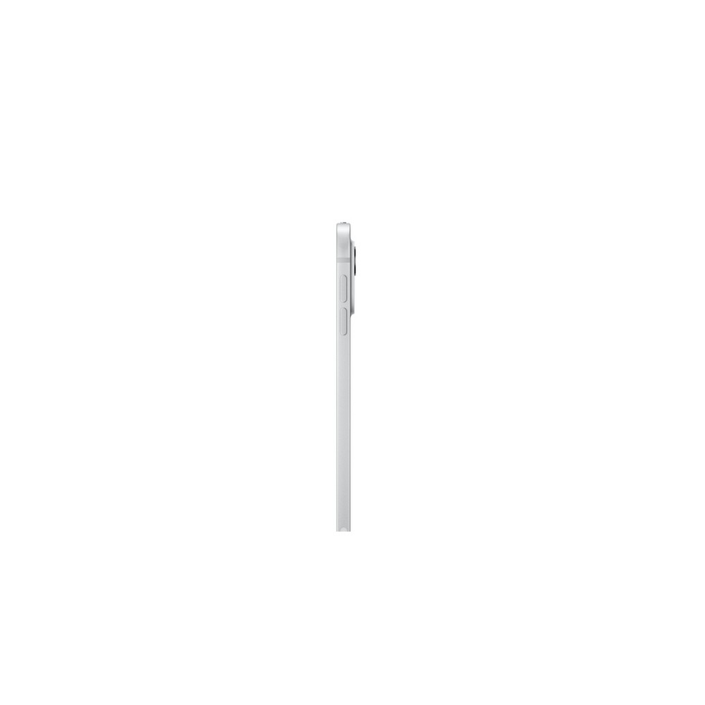 APPLE iPad Pro 11" WI-FI + Cellular 1TB Vetro Nanotexture Shopping Online