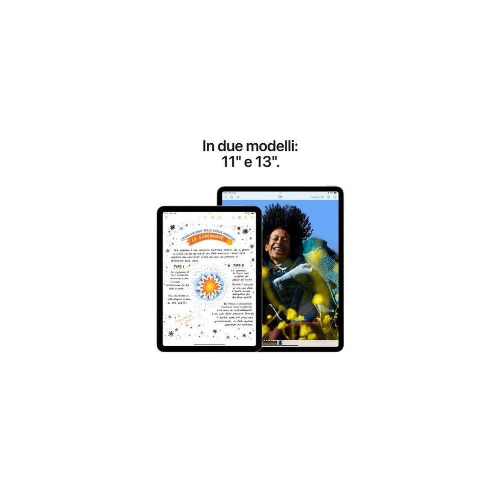 APPLE iPad Air 11" WI-FI + Cellular 256GB Liquidazione